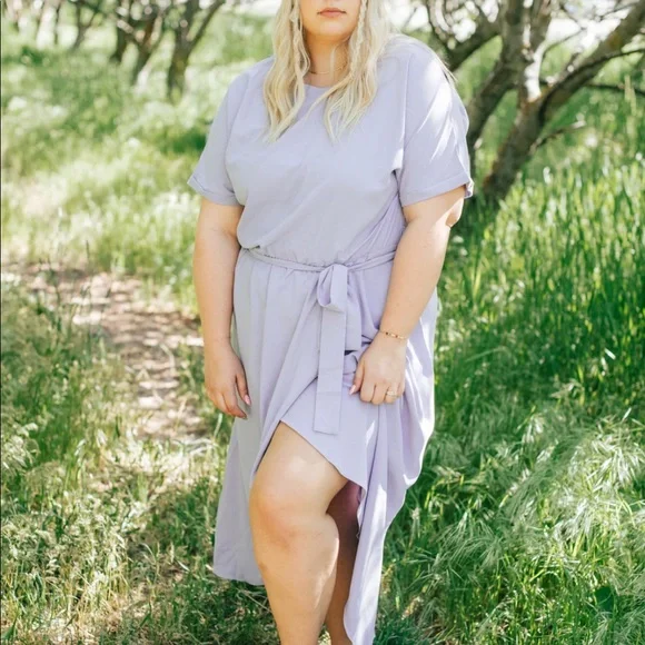 Lavender Midi Dress - Picture 3 of 4